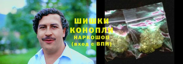 PSILOCYBIN Верея