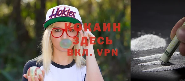 PSILOCYBIN Верея