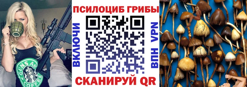 даркнет сайт  Тамбов  Галлюциногенные грибы прущие грибы 